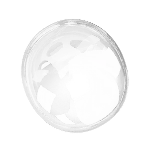 Explore IV Edition